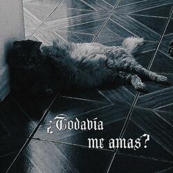 ¿Todavía me amas?