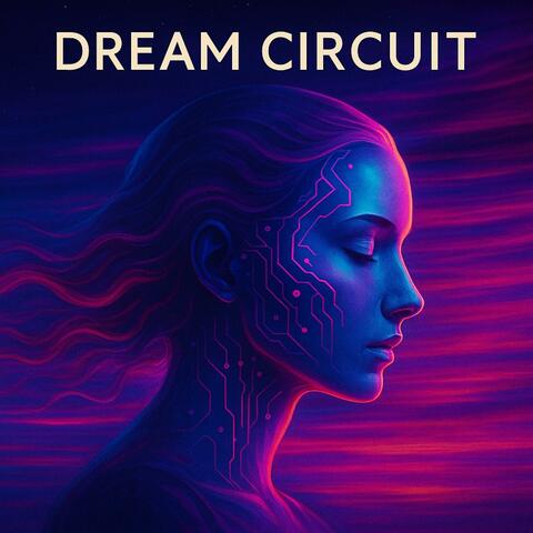 Dream Circuit