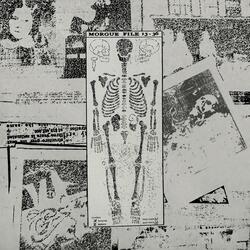 Files 13-36
