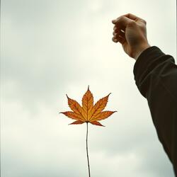 Elbows up (Canada Edition) (extended version)