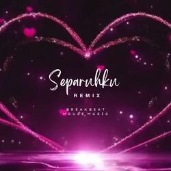 Separuhku (Funkot Universe Remix)
