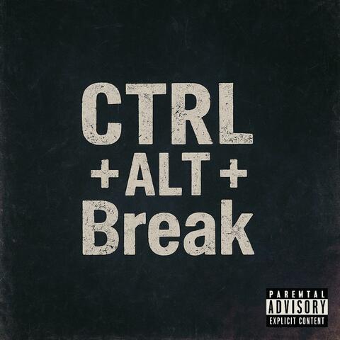 CTRL + ALT + Break