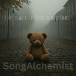 I Belonged To Somewhere Once