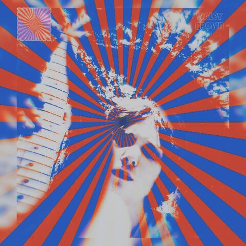 The Joyous Delusions