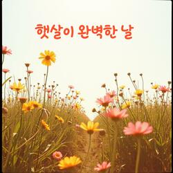 햇살이 완벽한 날