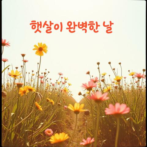 햇살이 완벽한 날