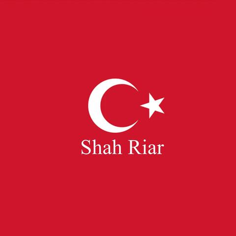 Flag Of Turkey