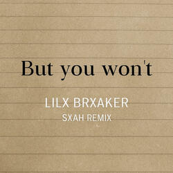 But You Won't (feat. WHOMADETHATBEAT) (Lilx Brxaker Remix Interlude)