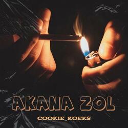 Akana Zol (feat. The Melanin DJ, Bhujwa Sings & Tii_Bza)
