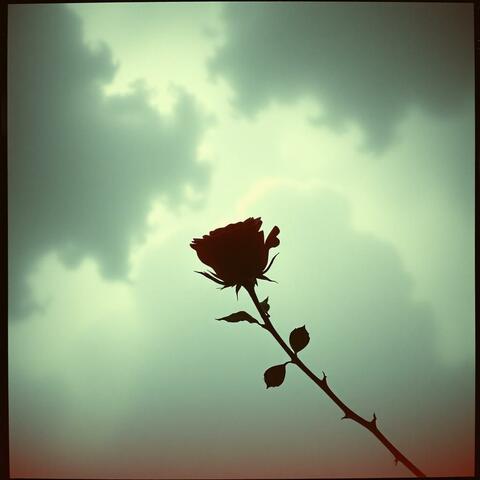 Sorry I Don't Do Love