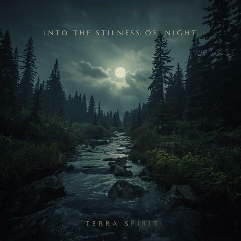 Into the Stillness of Night