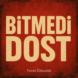 Bitmedi Dost (feat. Turan Özbudak)