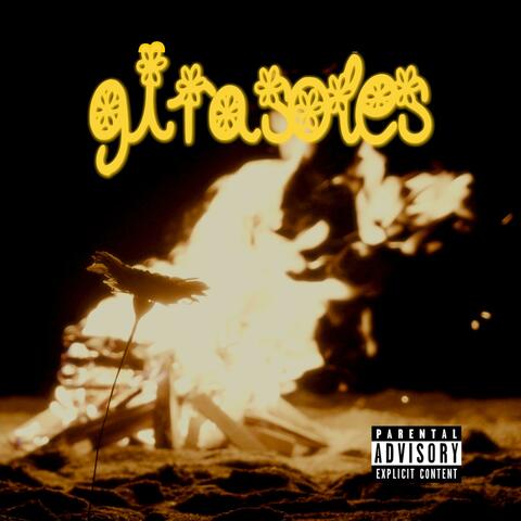 Girasoles