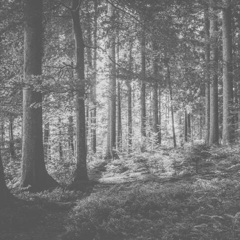 Your Grace (Slowed + Reverb)