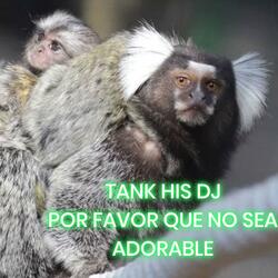 POR FAVOR QUE NO SEA ADORABLE