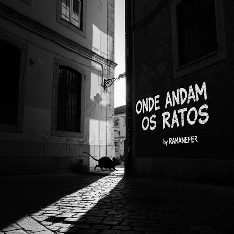 Onde andam os ratos