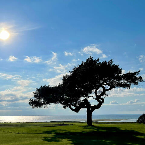 Barsebäck welcomes Laura Davis