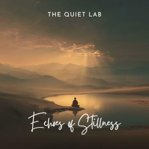 Echoes of Stillness