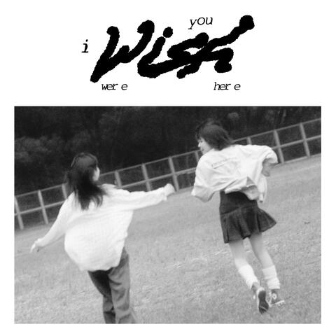 i wish you were here