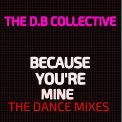 Because You're Mine (Pop House Remix)