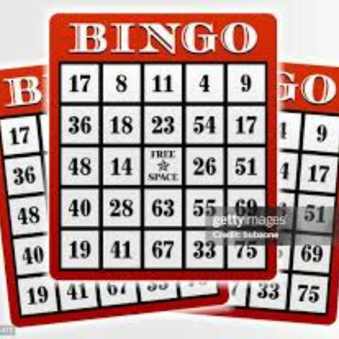 TU FICHA LA GANASTE EN UN BINGO