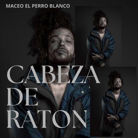 cabeza de raton