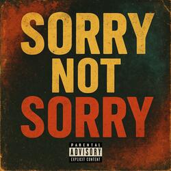 Sorry Not Sorry (Remix)