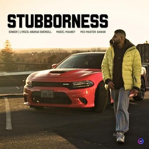 Sturbborness