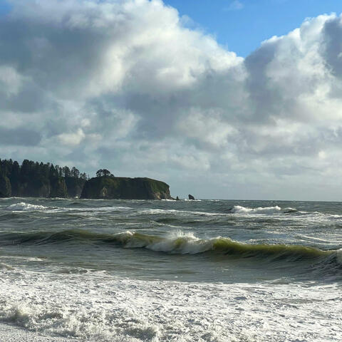 老人と海 (The Old Man and the Sea)