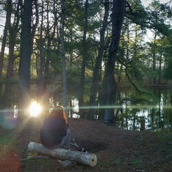 We Might Not Go Back