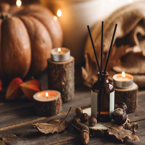 Whispers of Autumn – Gourds in the Garden
