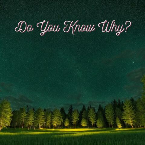 Do You Know Why?