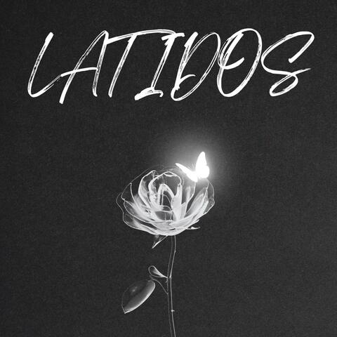 Latidos
