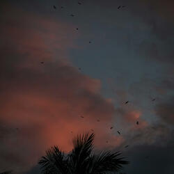 my main ◎ ambient subtle drone