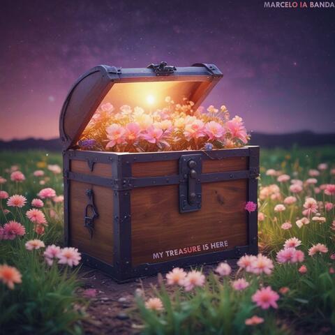 My treasure is here