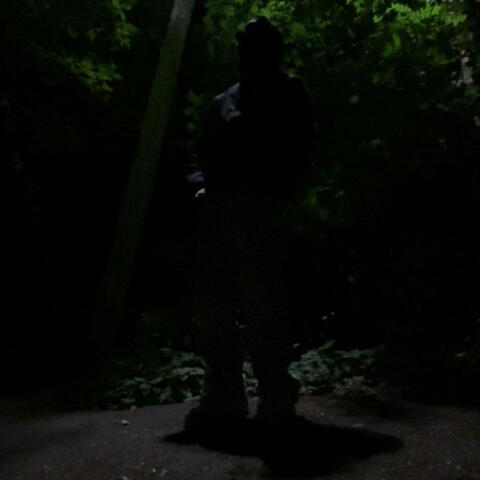 The SNiPESNETWORK Volume 1.