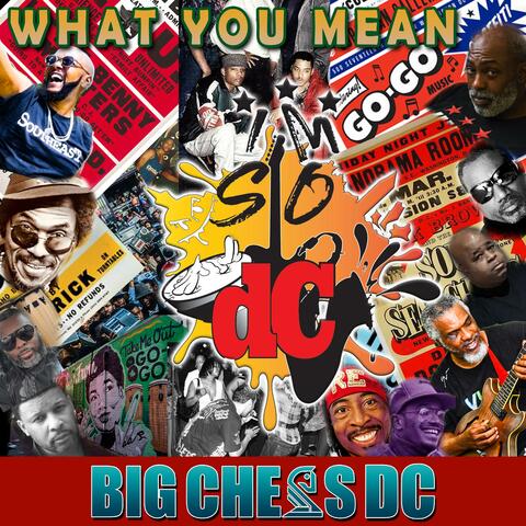 What You Mean (Clean)