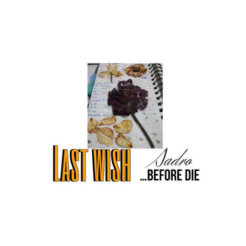 Last wish