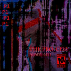 THE PRO-CESS