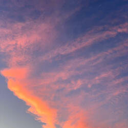 sunset summer picnic