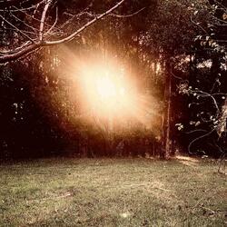 The Sun in Autumn