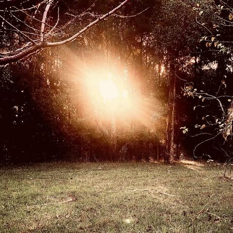 The Sun in Autumn