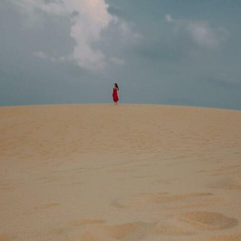 Get lost in the beauty