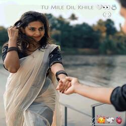 TUM MILE DIL KHILE-BENJO MUSIC