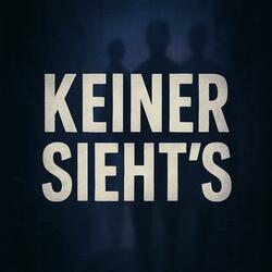 Keiner sieht´s (feat. Zoe_Zockt)