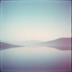 Chasing Midnight Dreams