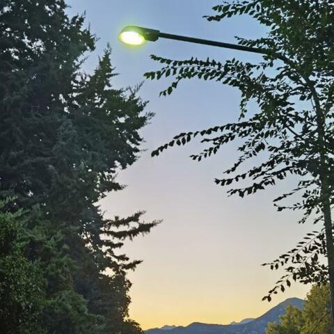 Sommernächte