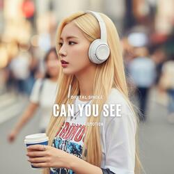 Can You See