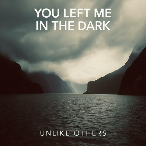 You left me in the dark