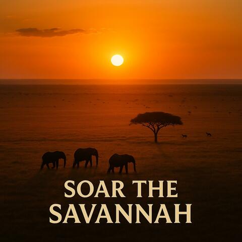 Soar the Savannah